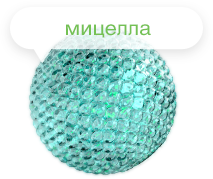 Мицелла